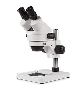 XTD-229 Stereo Microscope